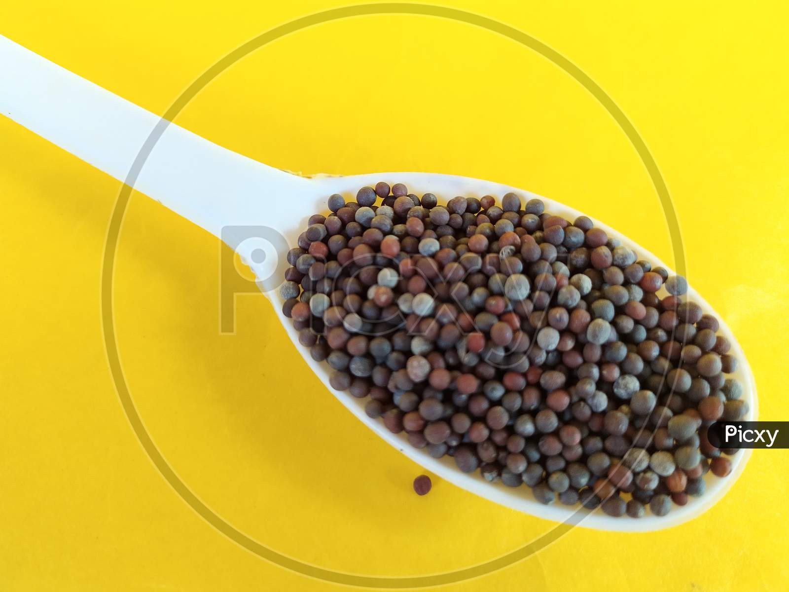 Cooking spice, spoonful mustard seeds on yellow background.