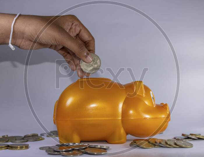 Plastic Hippo Bank And Coins