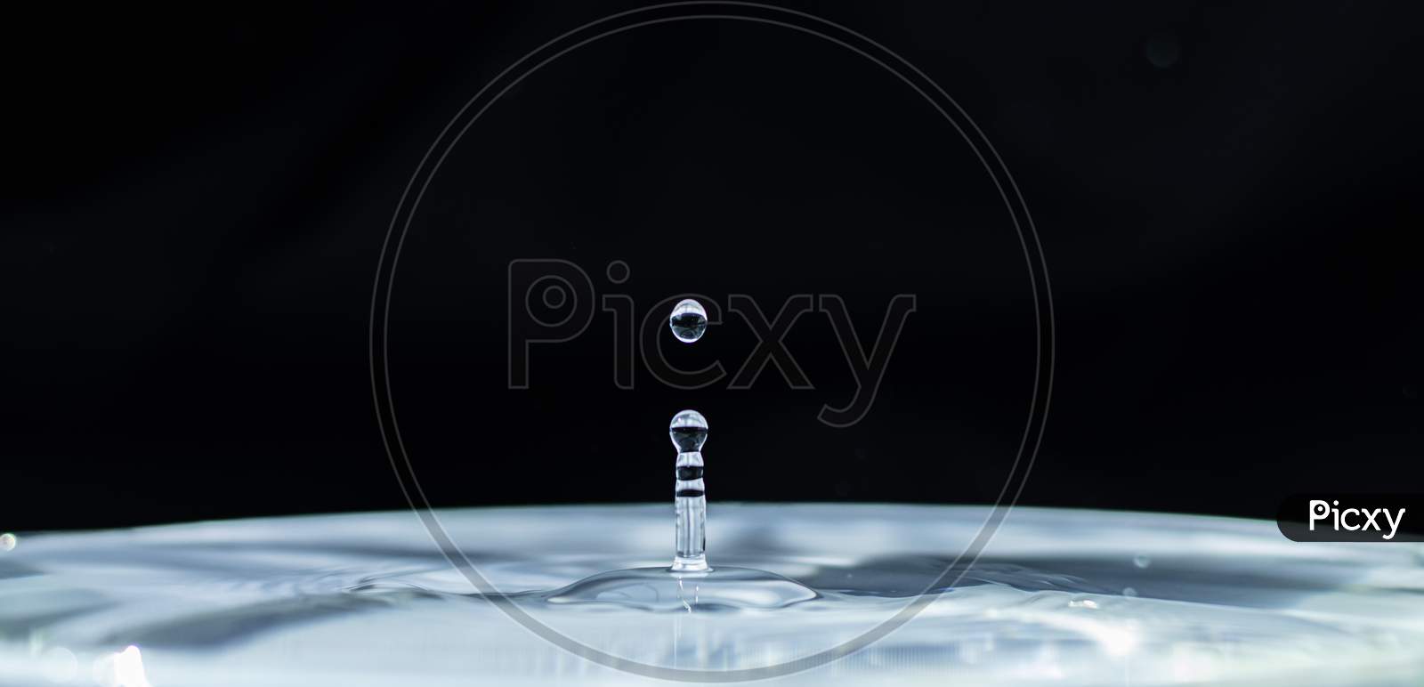 Water Droplet Rises After Falling On Black Background