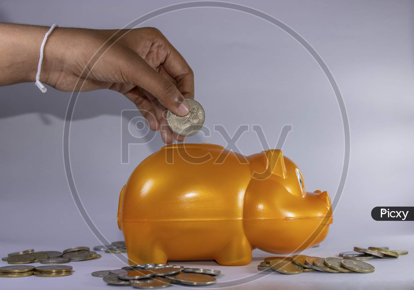 Plastic Hippo Bank And Coins