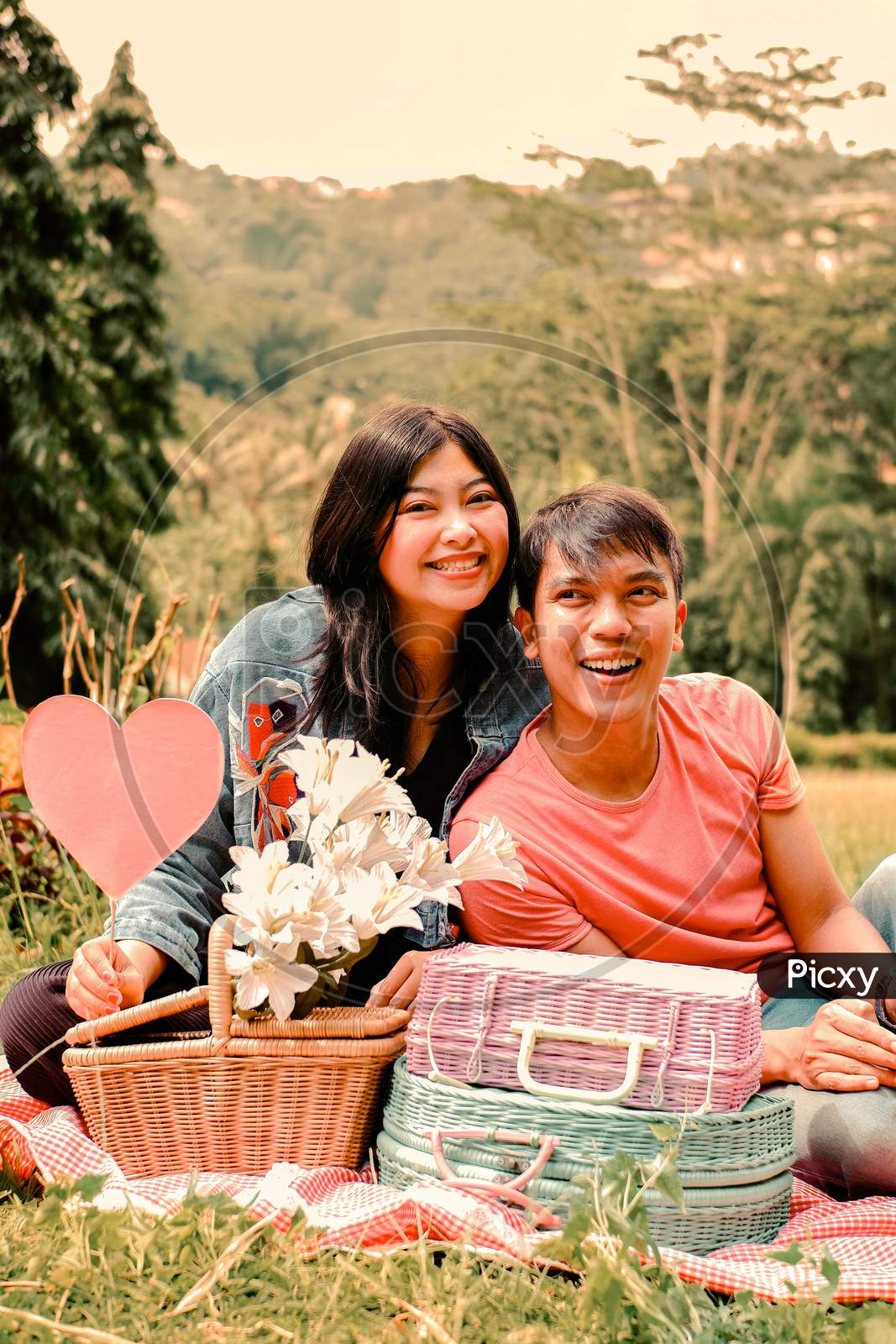 Image of A Sweet Young Asian Couple Having A Picnic In The  Park-VD362339-Picxy