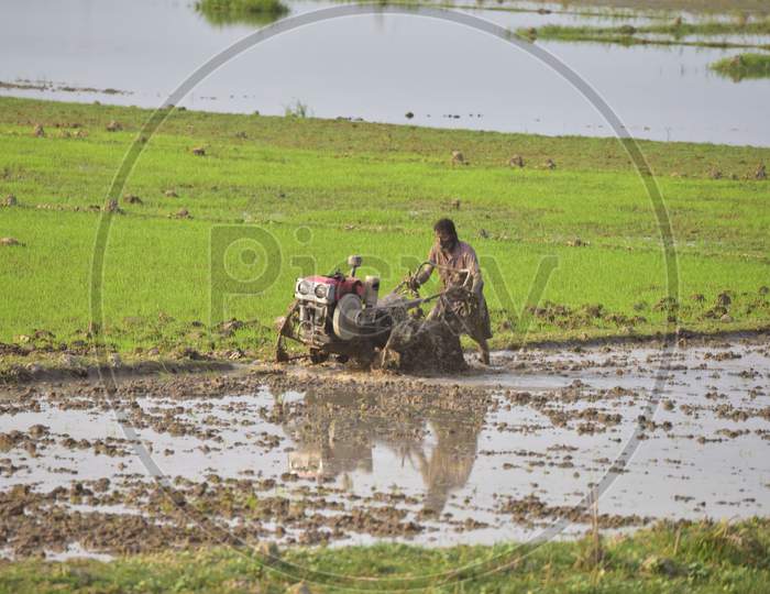 A farmer ploughs a paddy field at Mayong village in Morigaon District of Assam  on Dec 6,2020.