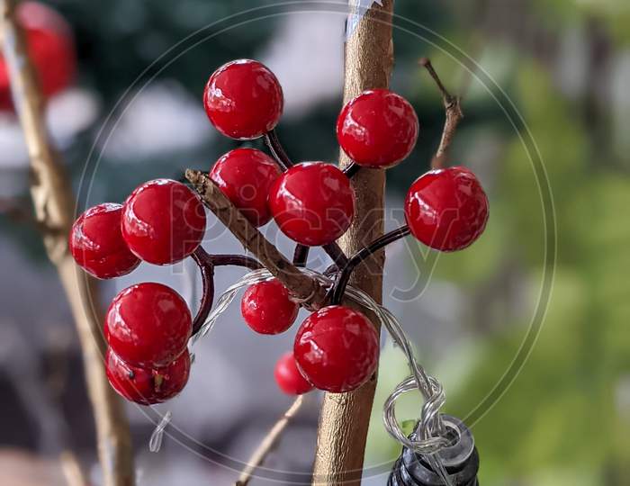 Christmas ornamentel fruits