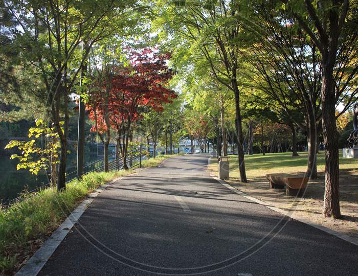 Paved Pedestrian Way Or Walk Way With Trees On Sides For Public Walk