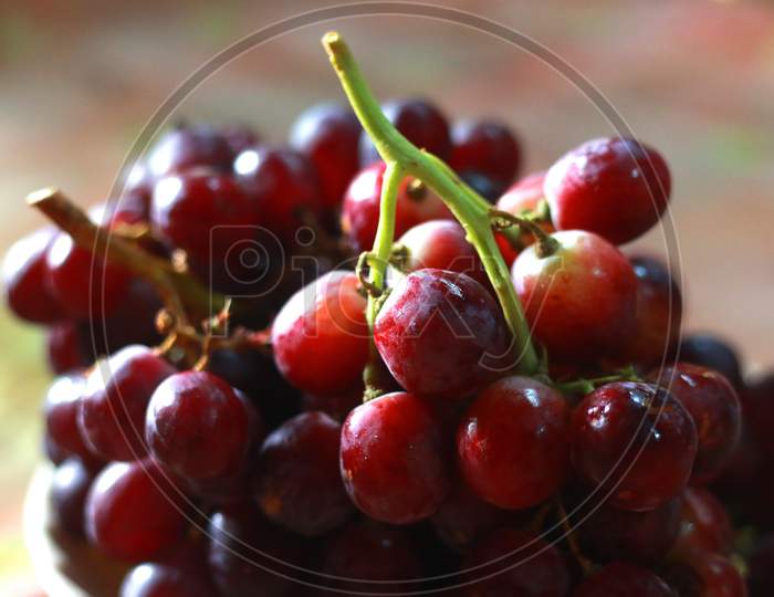 Healthy fruits Red wine grapes background dark grapes blue grapeswine grapes,Red wine grapes backgrounddark grapes,blue grapes,Red Grape in a supermarket local market bunch of grapes ready to eat