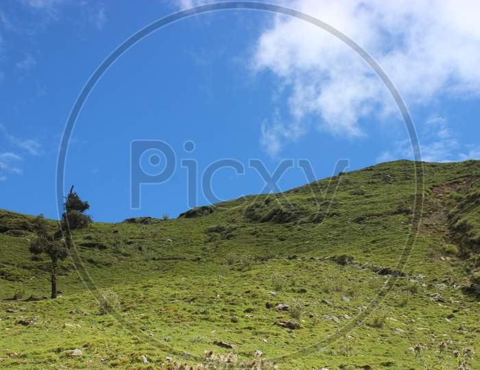 Meadows of himalaya and blue sky