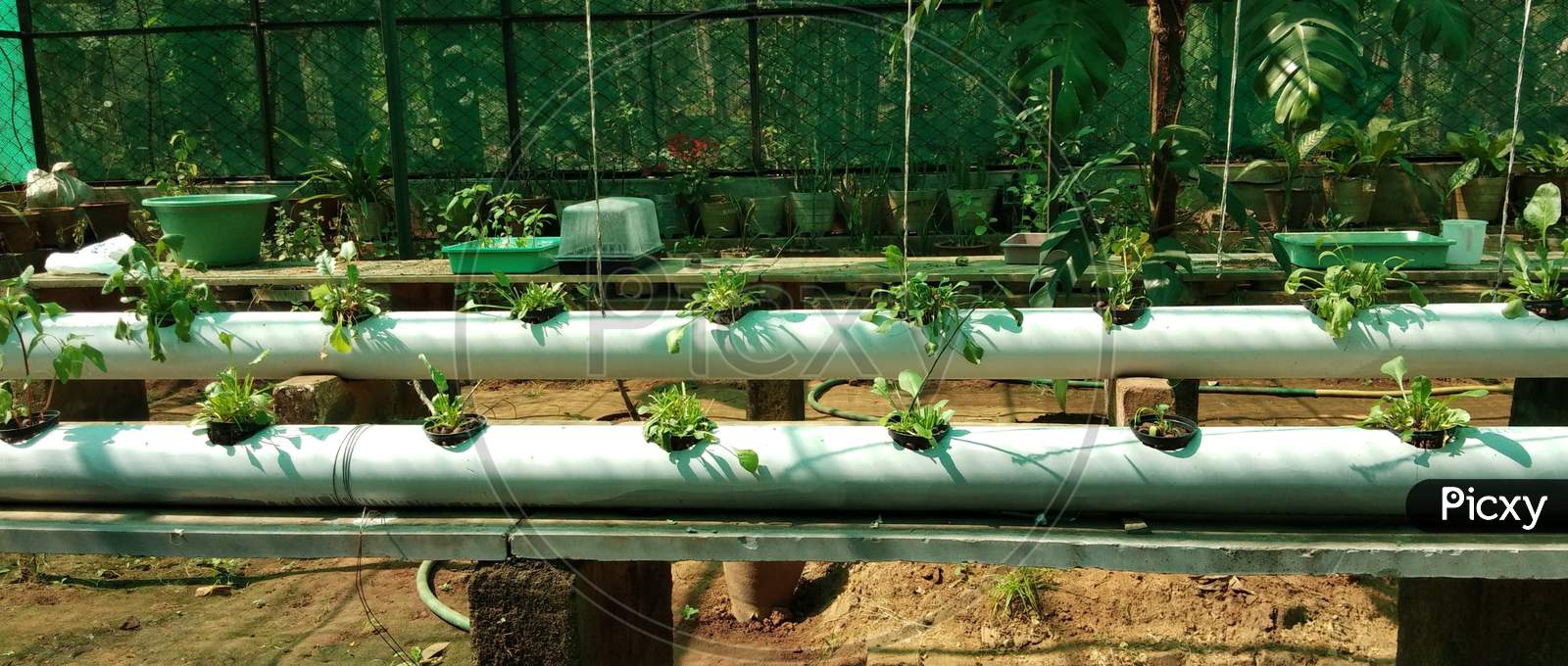 Plant's will be grown in pipe