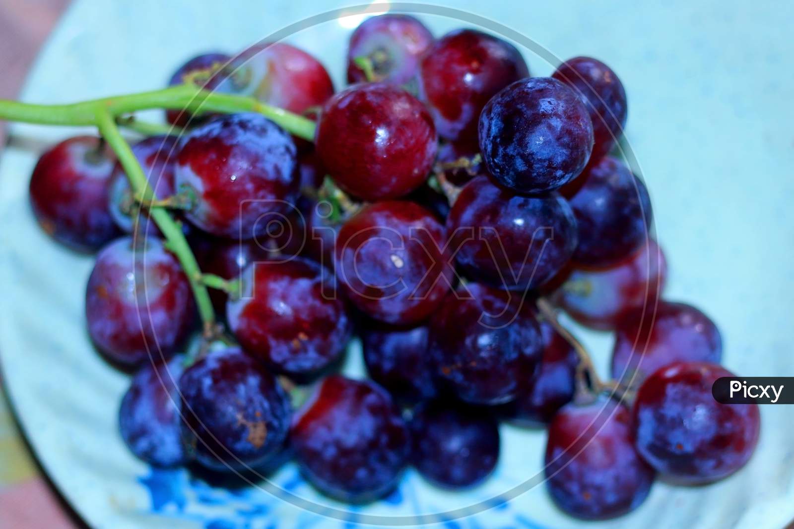 Healthy fruits Red wine grapes background/ dark grapes/ blue grapes/wine grapes,Red wine grapes background/dark grapes,blue grapes,Red Grape in a supermarket local market bunch of grapes ready to eat