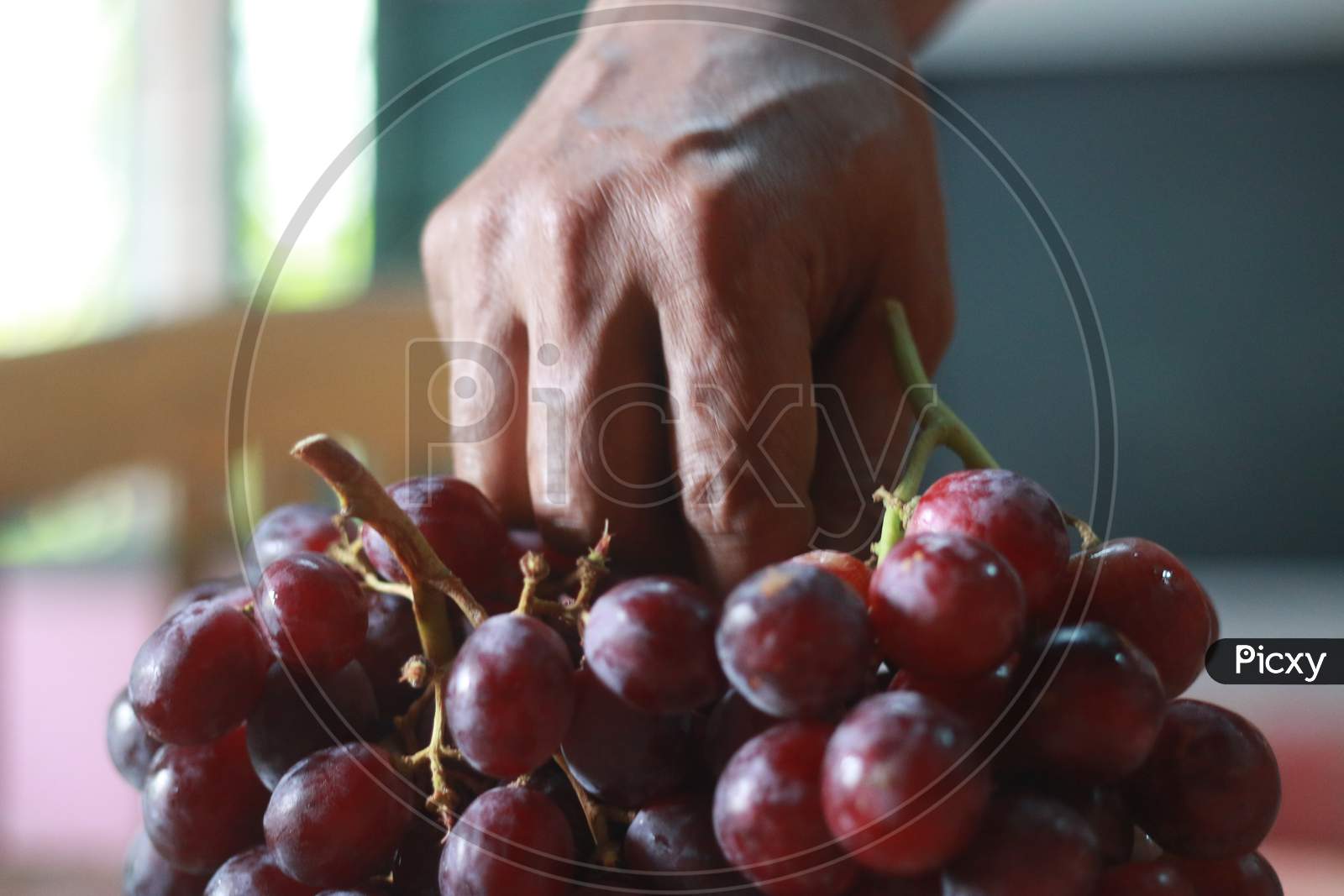 Healthy Fruits Red Wine Grapes Background/ Dark Grapes/ Blue Grapes/Wine Grapes,Red Wine Grapes Background/Dark Grapes,Blue Grapes,Red Grape In A Supermarket Local Market Bunch Of Grapes Ready To Eat