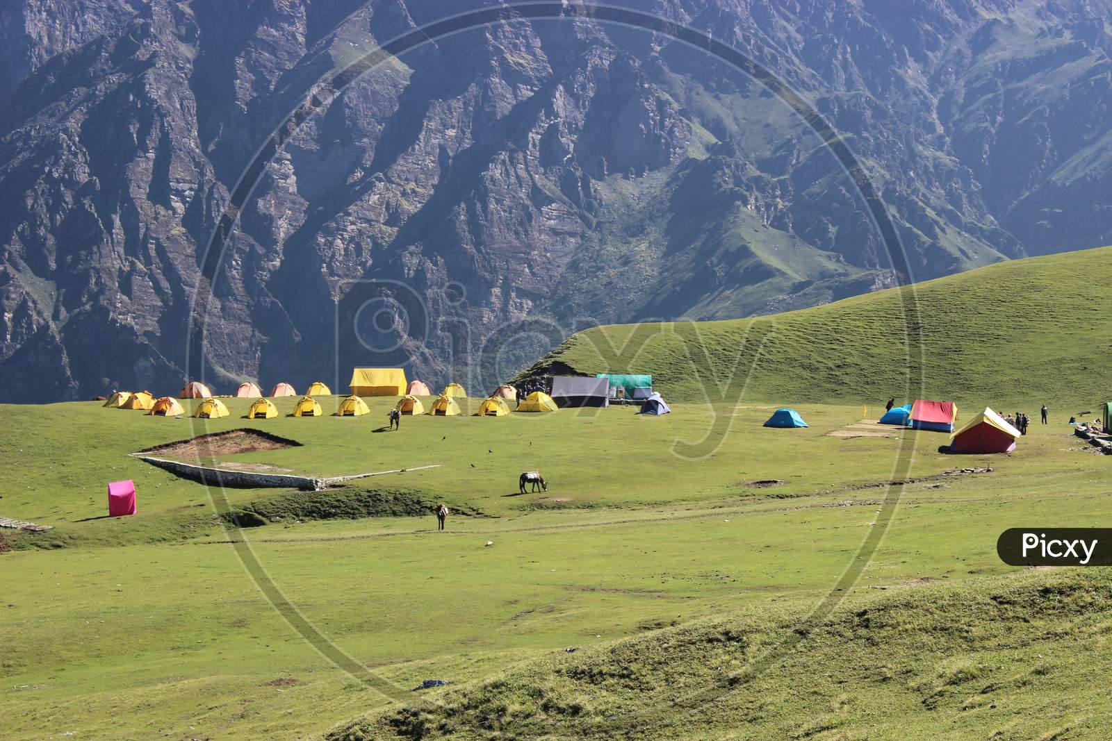 A campsite view in a Alpine meadow of himalaya.
