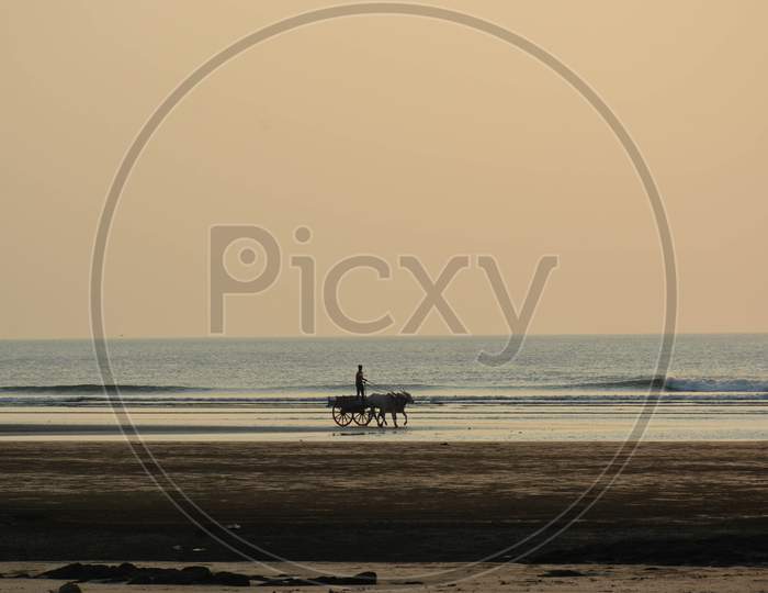 A lone bullock cart is passing on the calm seashore at Palande Beach, Dapoli, Maharashtra