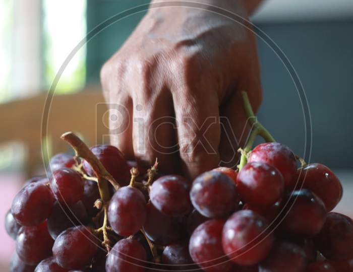 Healthy Fruits Red Wine Grapes Background/ Dark Grapes/ Blue Grapes/Wine Grapes,Red Wine Grapes Background/Dark Grapes,Blue Grapes,Red Grape In A Supermarket Local Market Bunch Of Grapes Ready To Eat