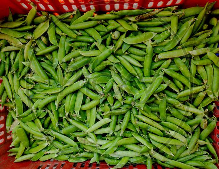 The Pea Is Most Commonly The Small Spherical Seed Or The Seed-Pod Of The Pod Fruit Pisum Sativum