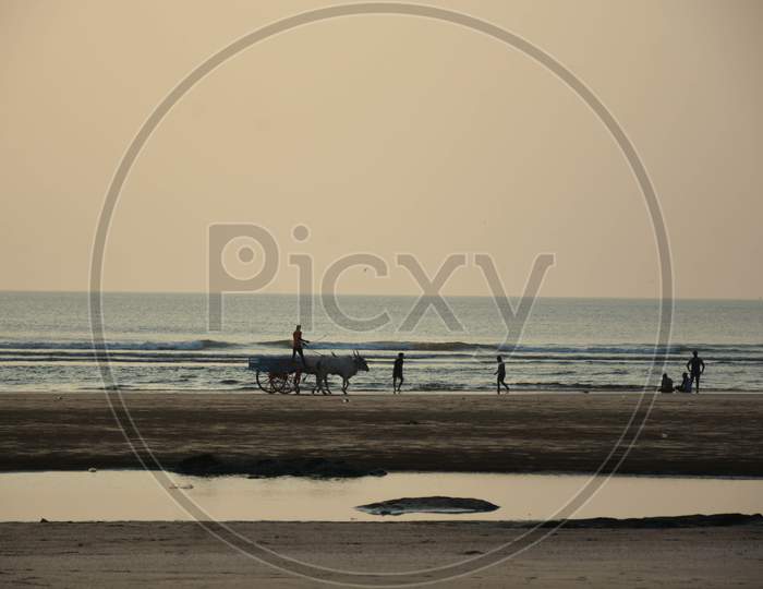 A lone bullock cart is passing on the calm seashore at Palande Beach, Dapoli, Maharashtra