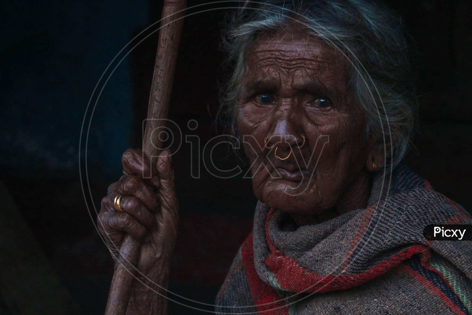 Portrait Of an Indian Elderly  Woman