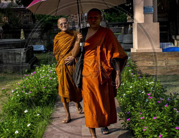 Buddhist Monk Holding Umbrella And Walking In a Pathway