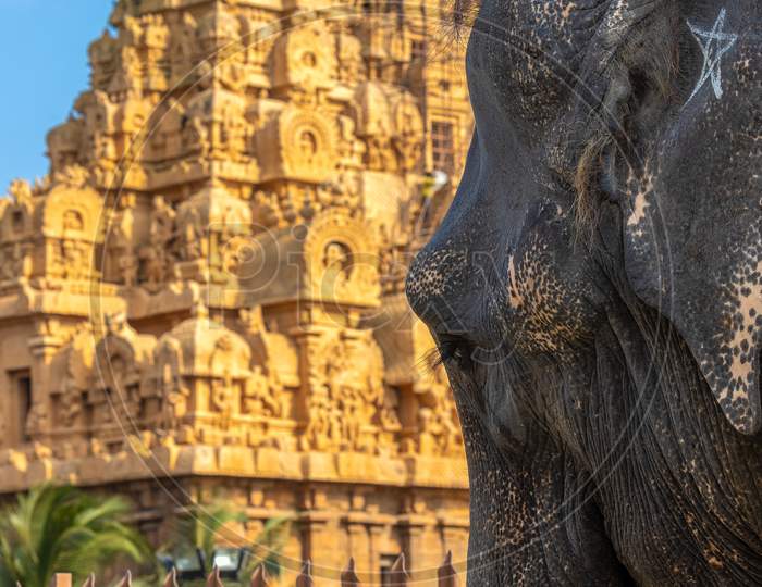 Brihadeeshwara Temple or Big Temple In Tanjavur