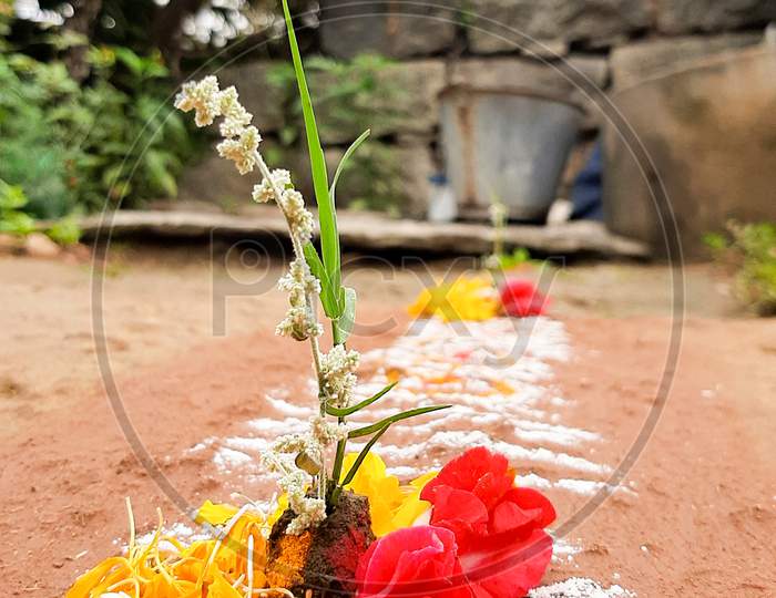 Sankranthi Gobbemma  , A Ritual To Keep In Rangoli During Sankranthi Festival