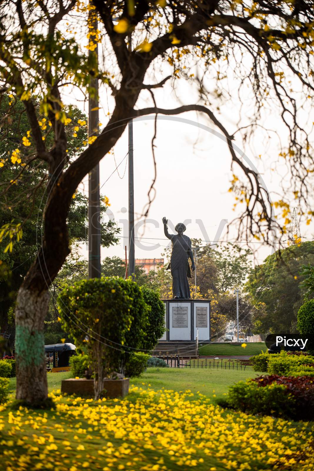View of Indira Gandhi Statue against yellow flowers