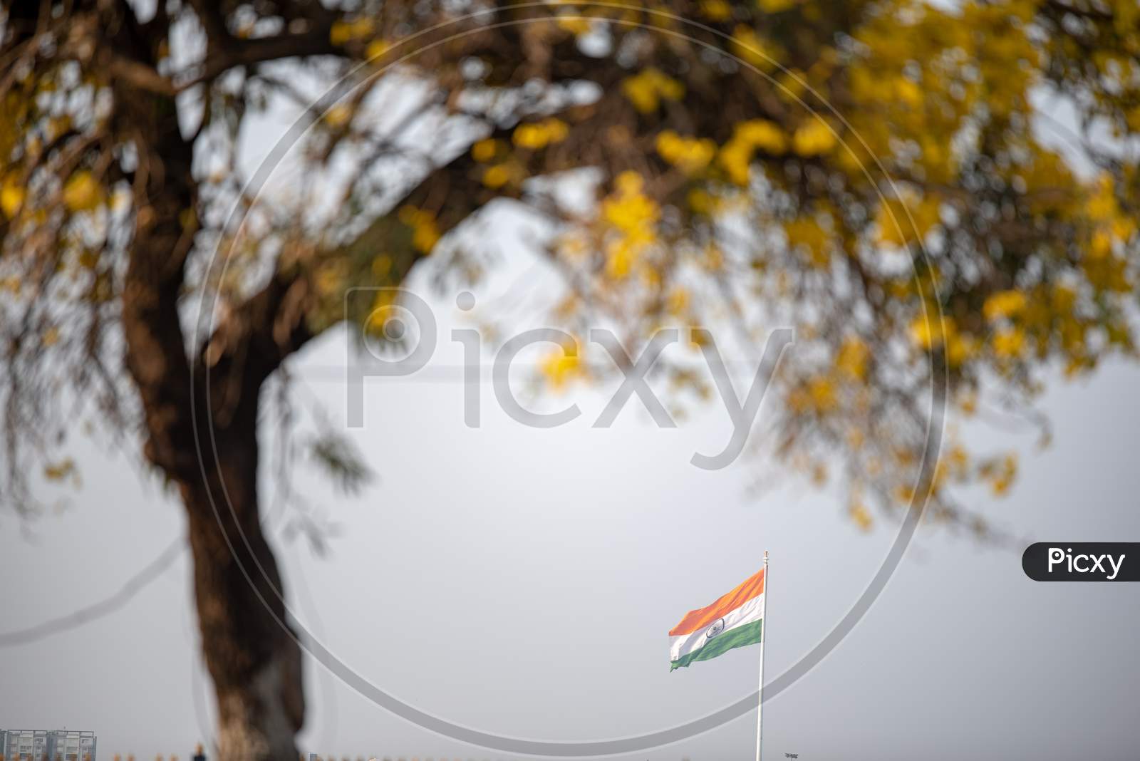 Indian Flag waving in the air