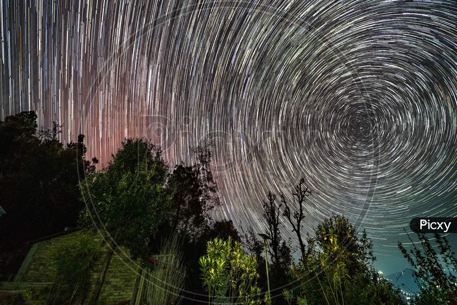 Astro  Photography Over a Tree Canopy