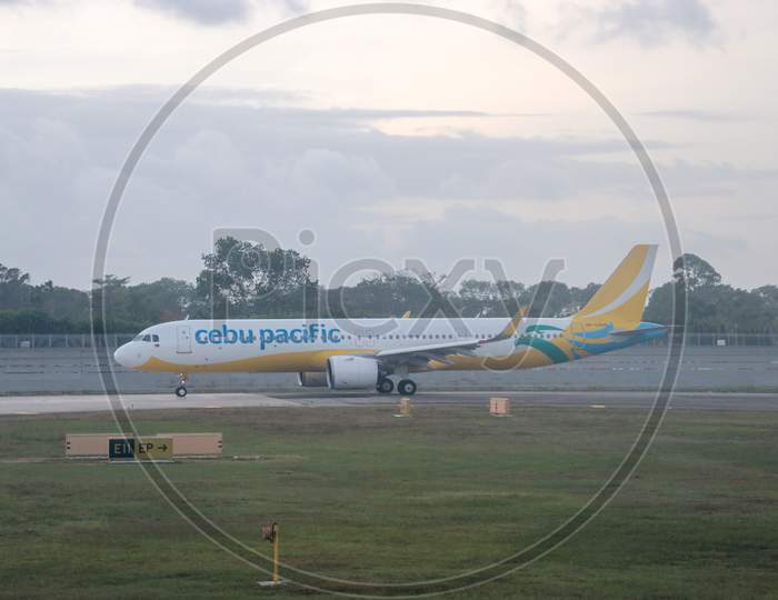 Cebu Pacific  Flight In an Airport Terminal