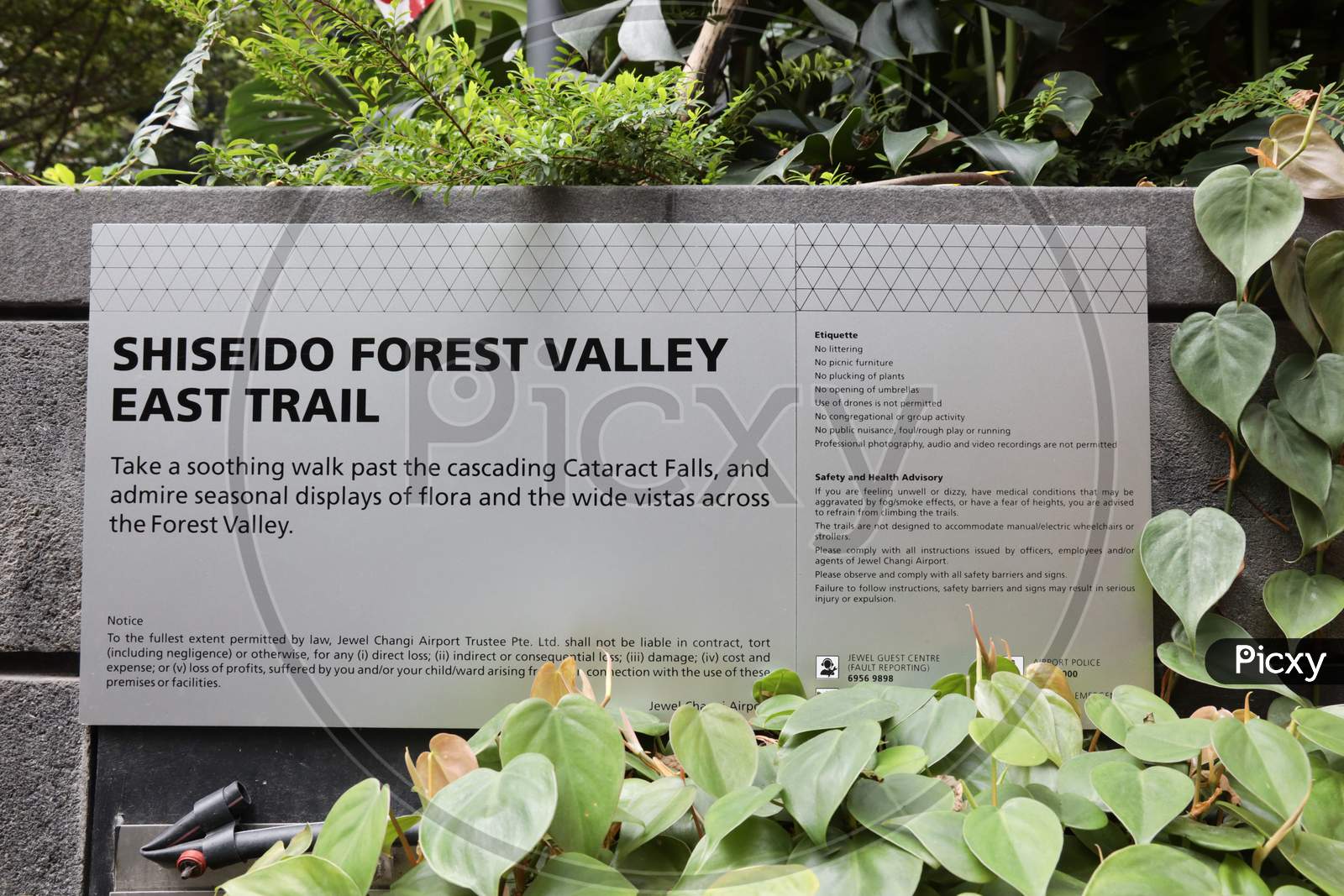 Shiseido Forest Valley At Jewel Changi Airport, Singapore