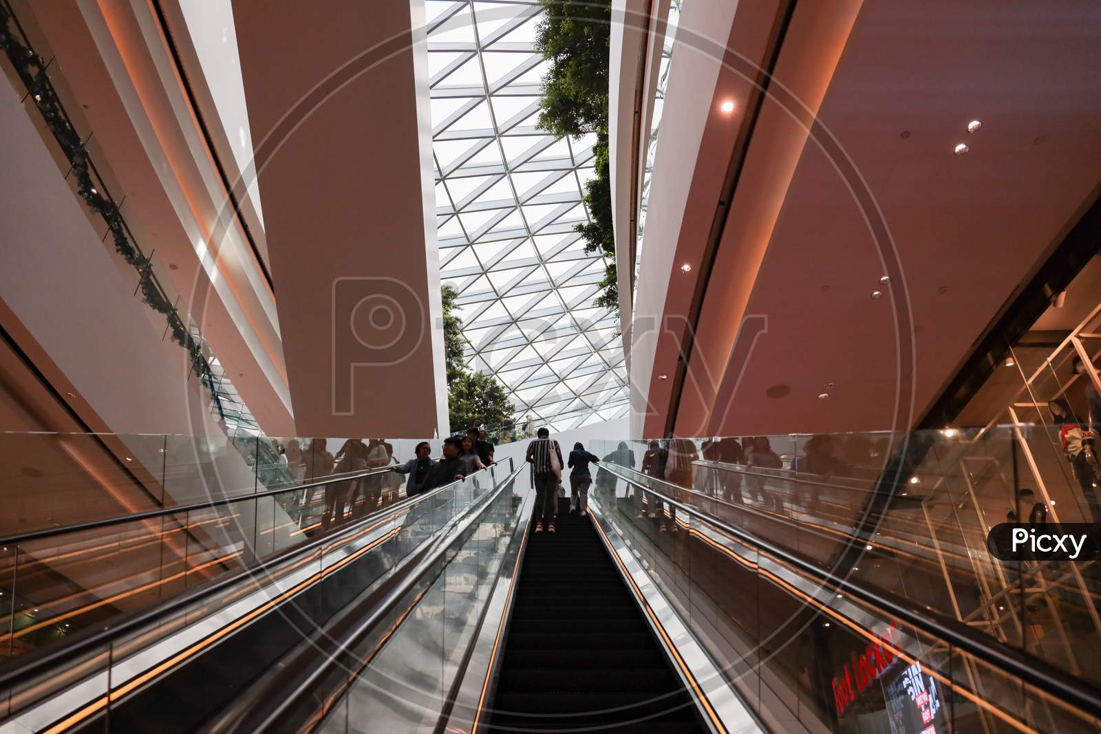 Escalator At Changi Airport , Singapore