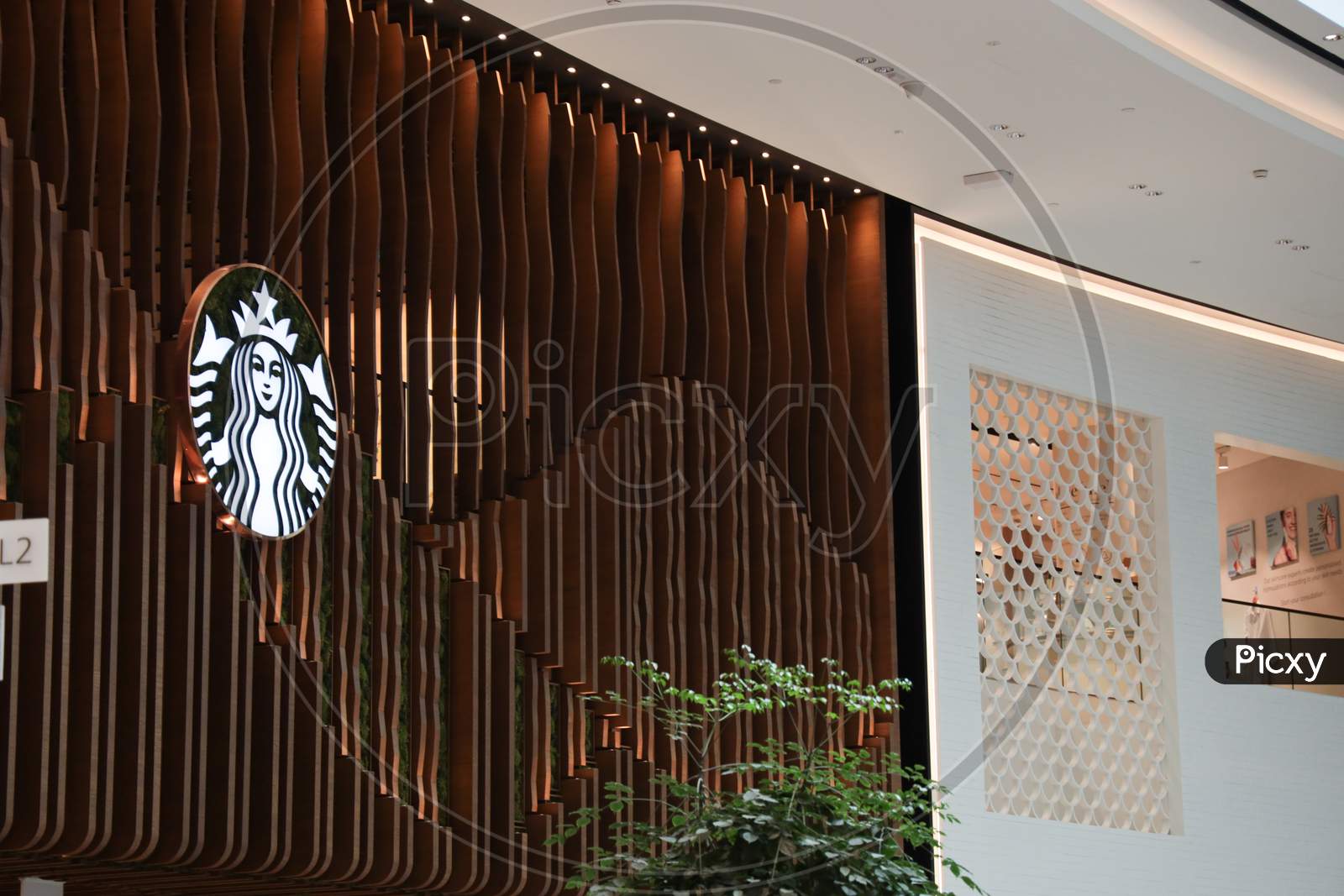 Starbucks  Coffee Outlet At Changi Airport, Singapore