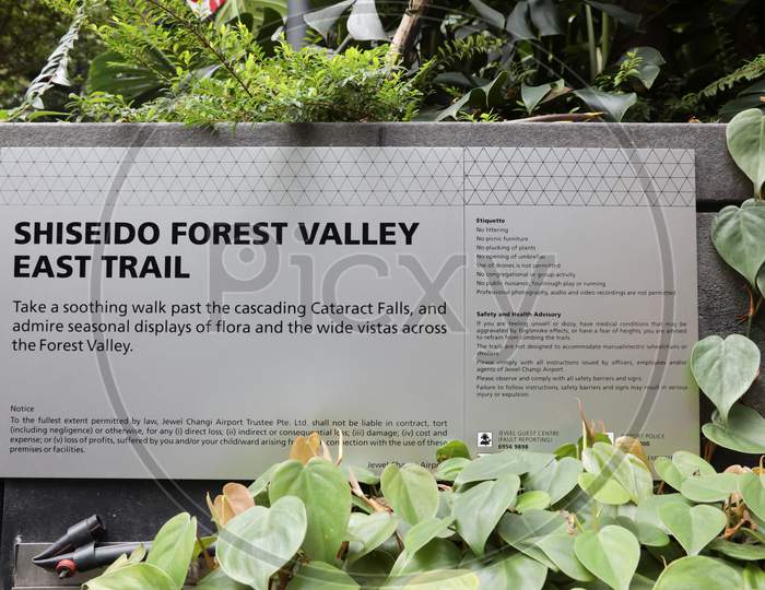 Shiseido Forest Valley At Jewel Changi Airport, Singapore