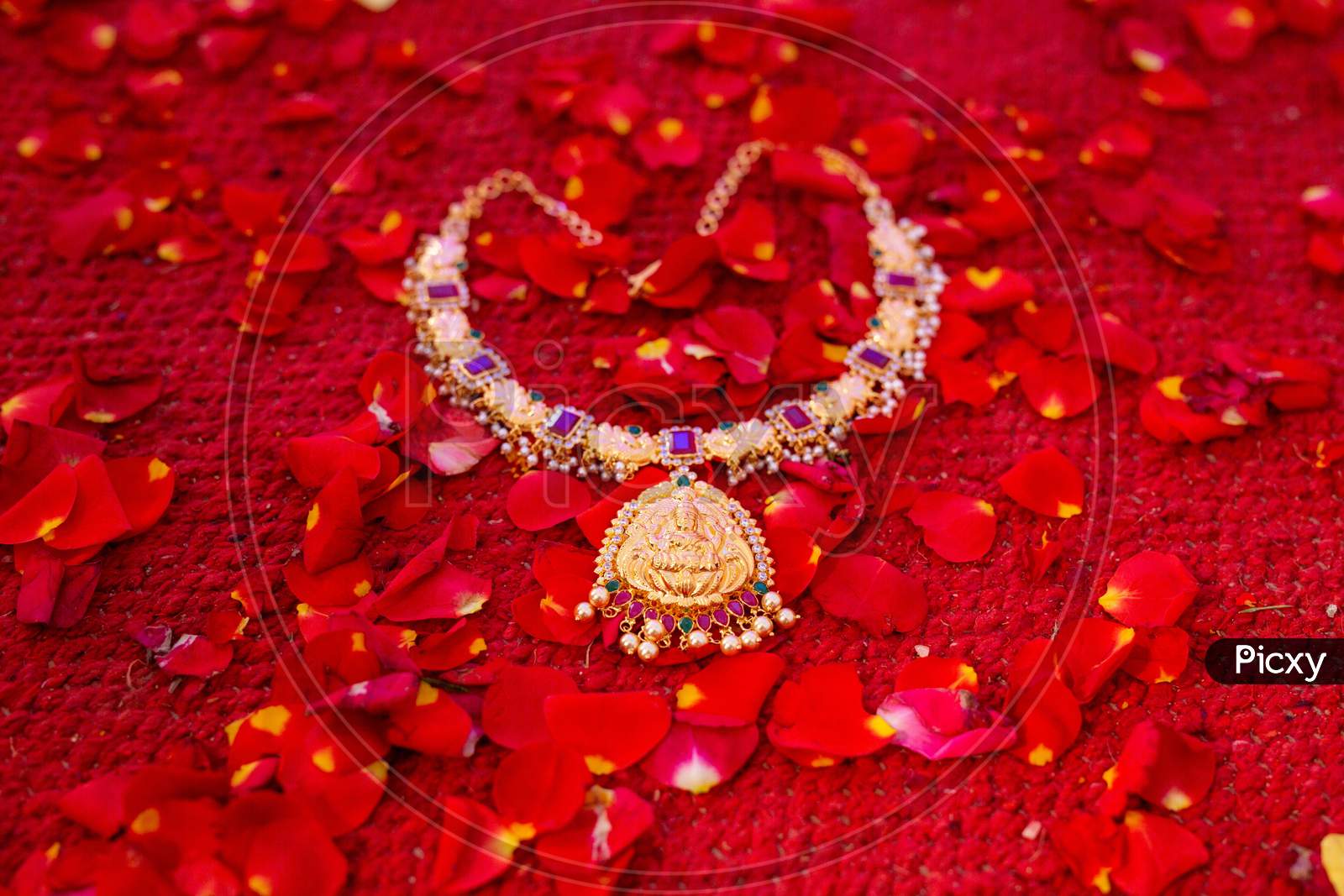 Classic Design  Of An Gold Necklace  Of Bride  At an Indian Wedding  Ceremony