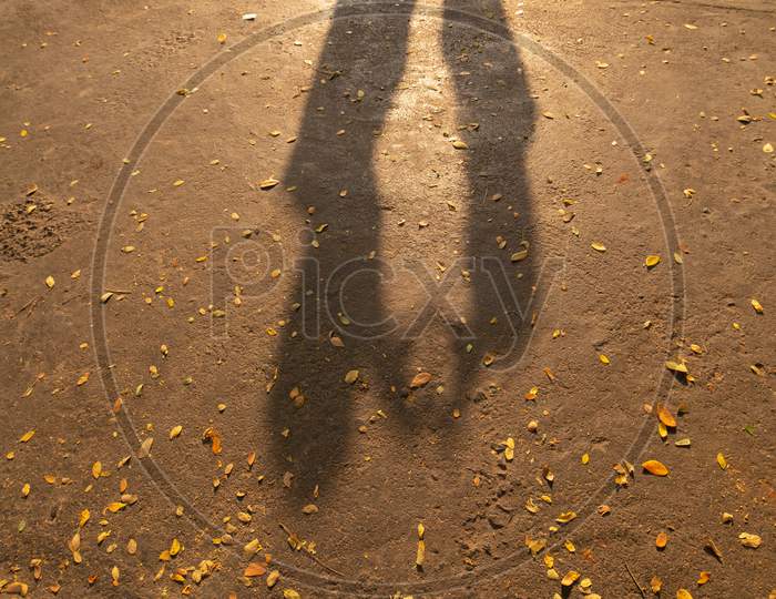 Shadow Of an Wedding Couple With Man Proposing  Woman