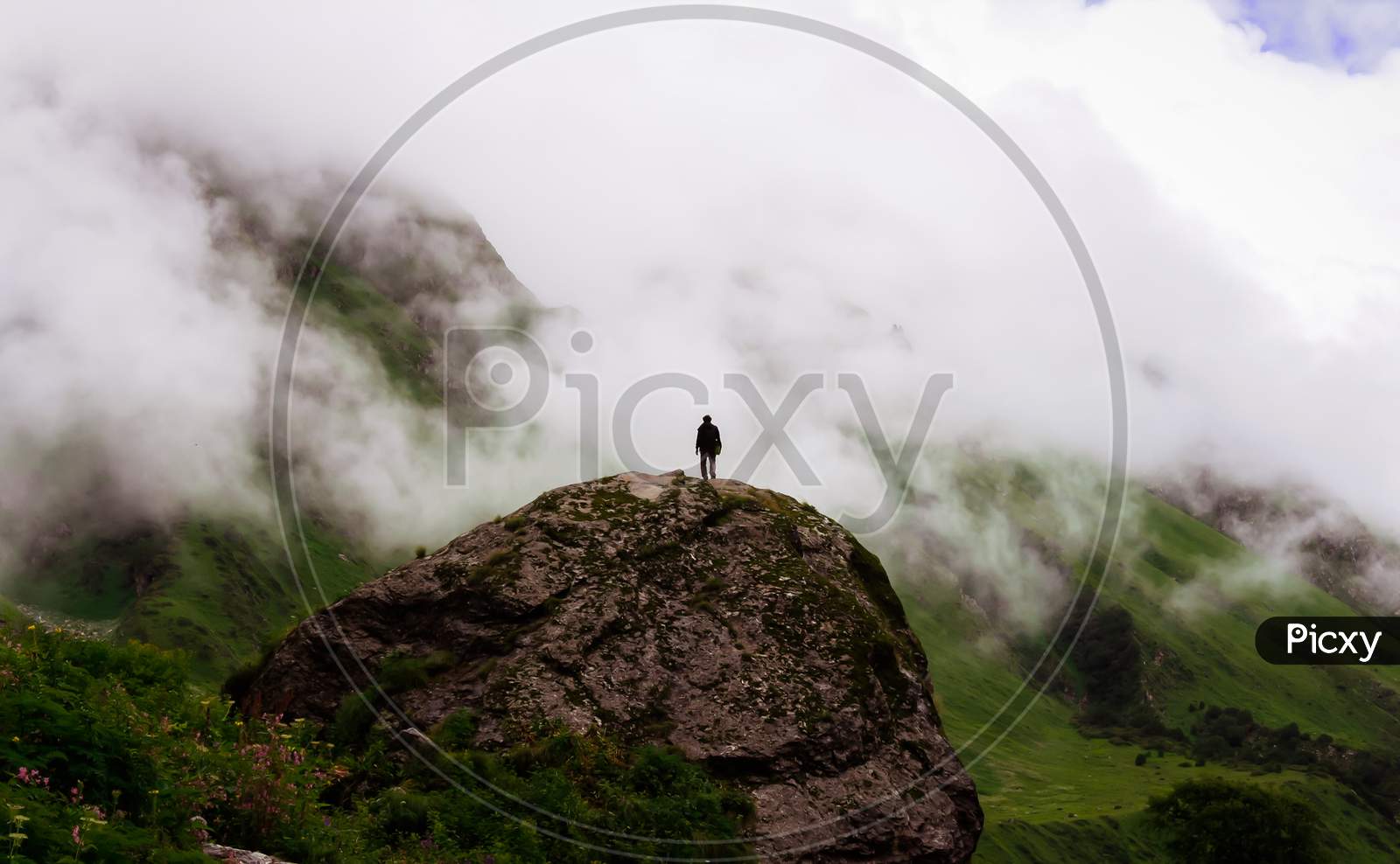 A person standing on a big Rock in Valley of flowers, Uttarakhand