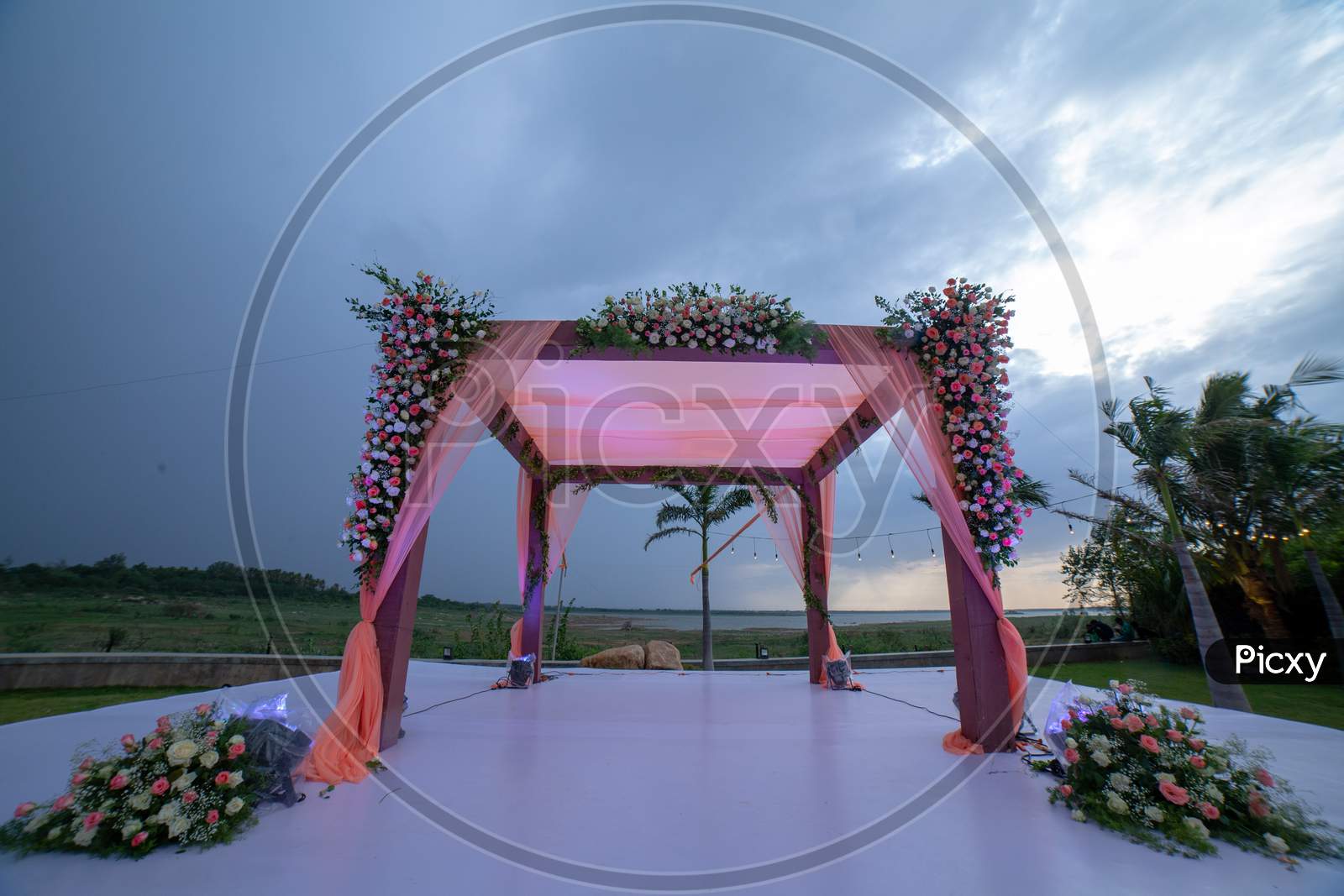 Decoration With Beautiful Fresh Blooming Flowers  At a Wedding Stage