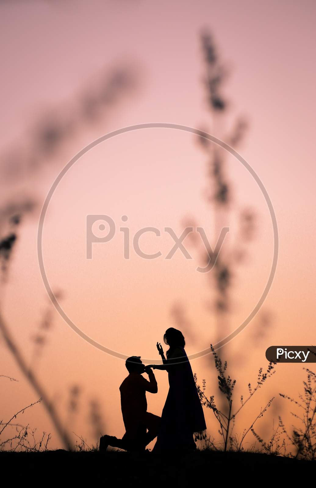 Silhouette of Indian newly married couple during sunset