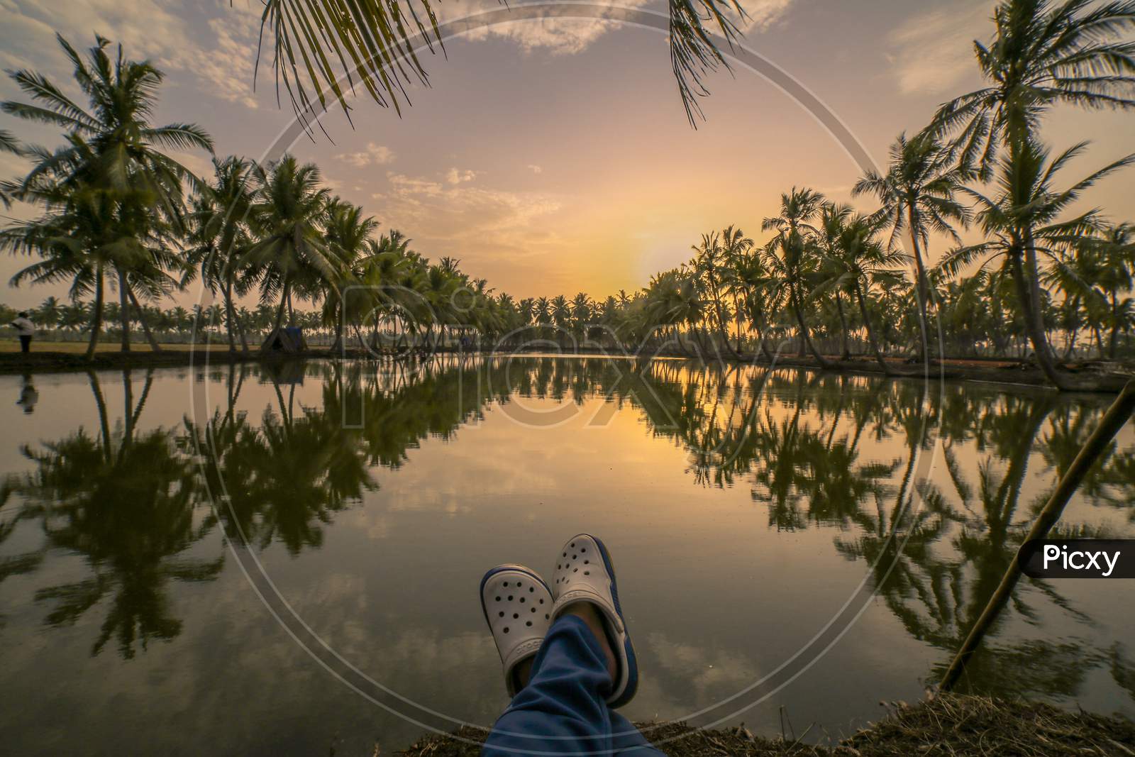 Indian man sitting by the coconut trees during sunset