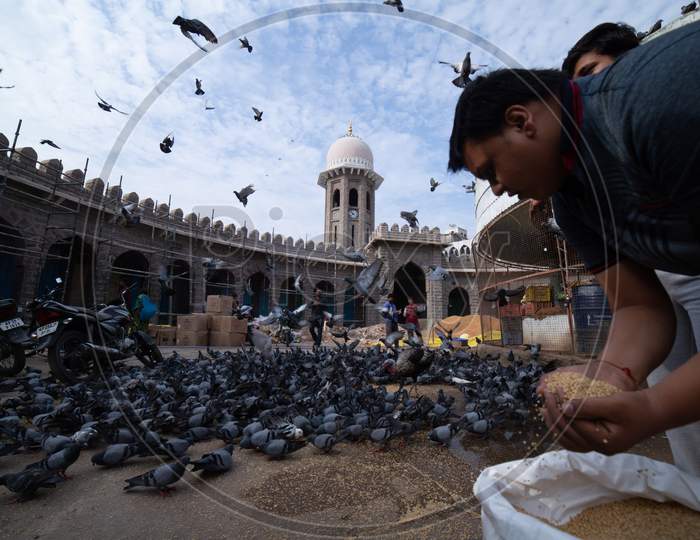 A Man Feeding Pigeons At MJ Market