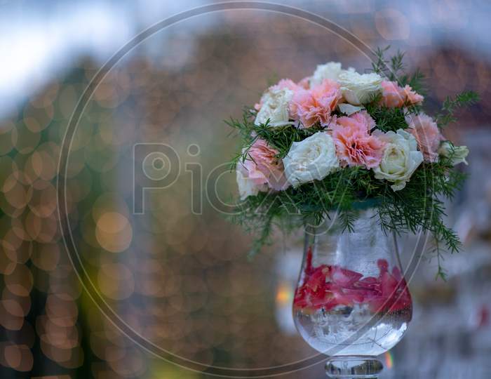 Beautiful Fresh Blooming Flowers In an Flower Vase