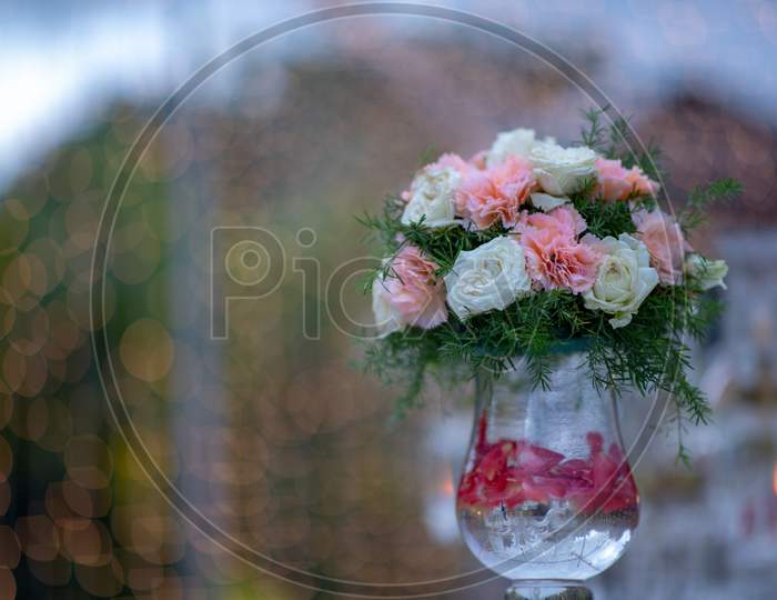 Beautiful Fresh Blooming Flowers In an Flower Vase