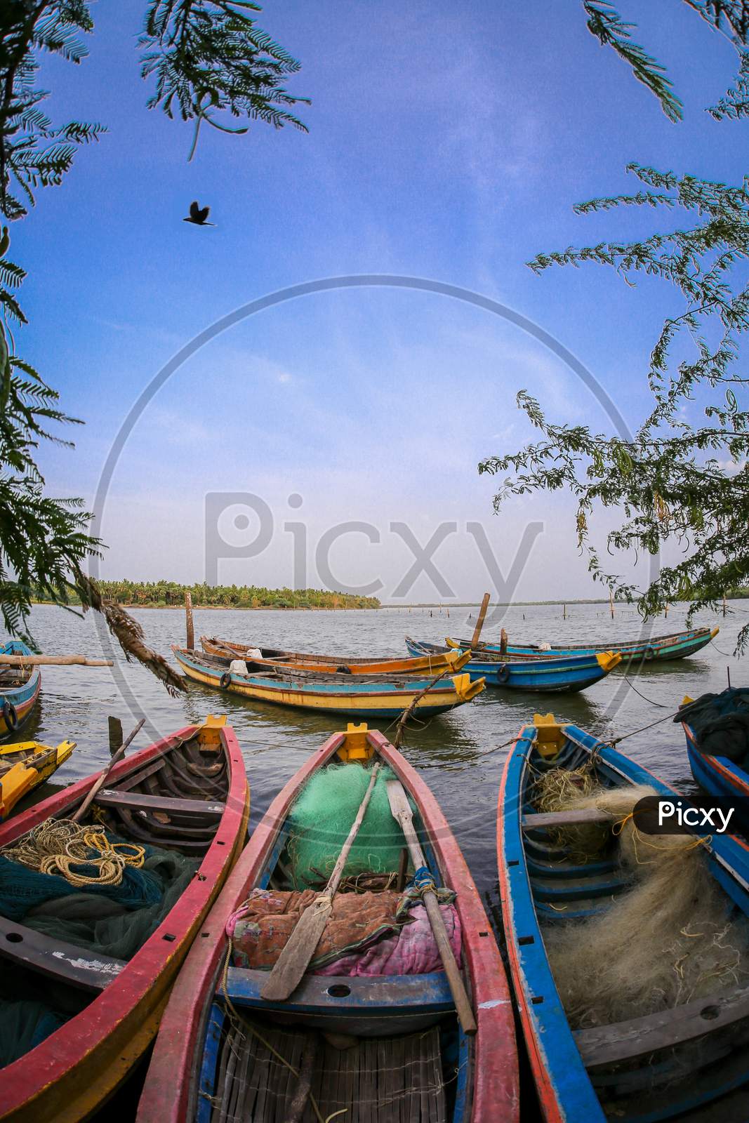View of colorful boats