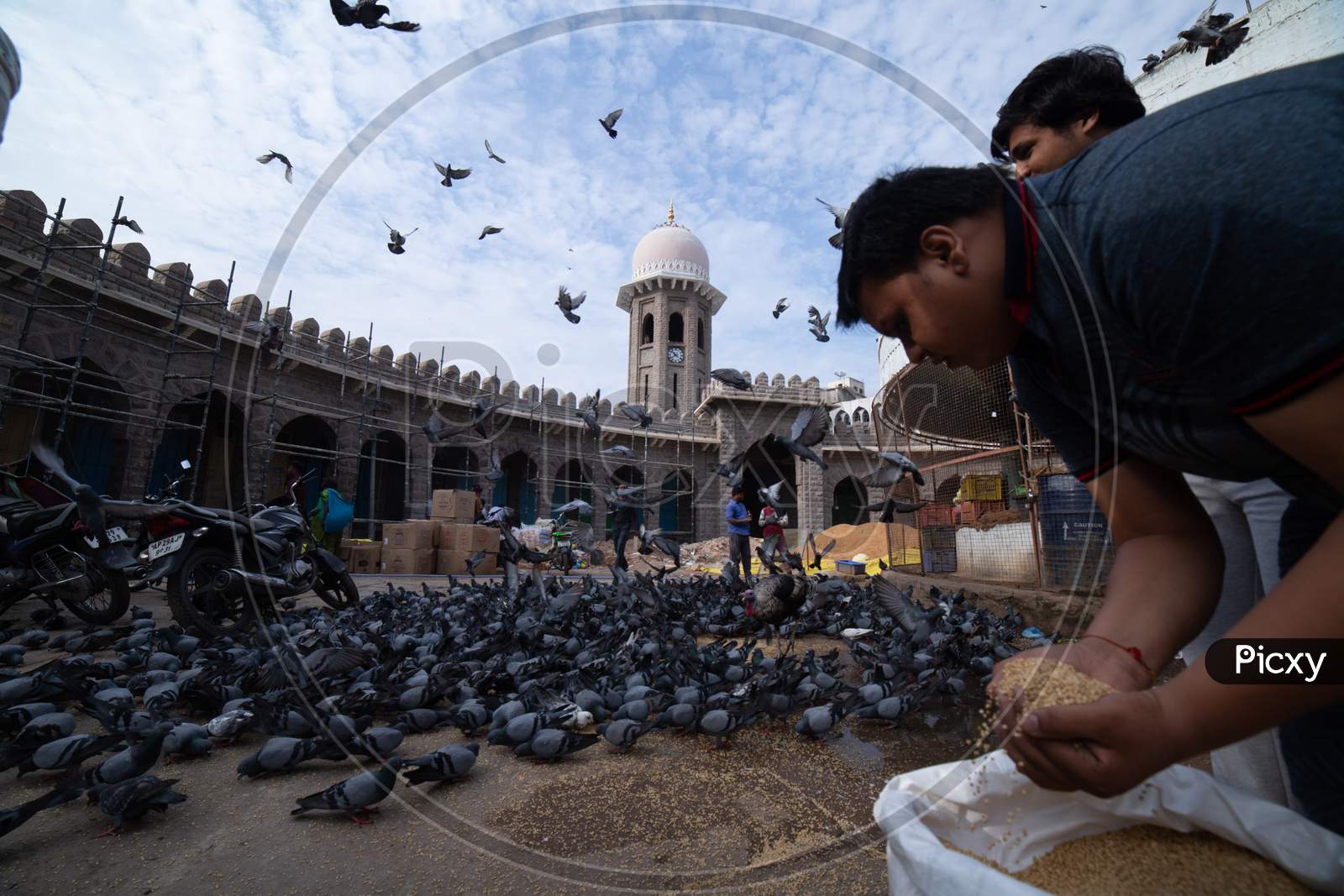 A Man Feeding Pigeons At MJ Market