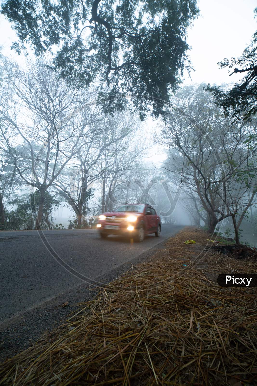 A car moving along the foggy road