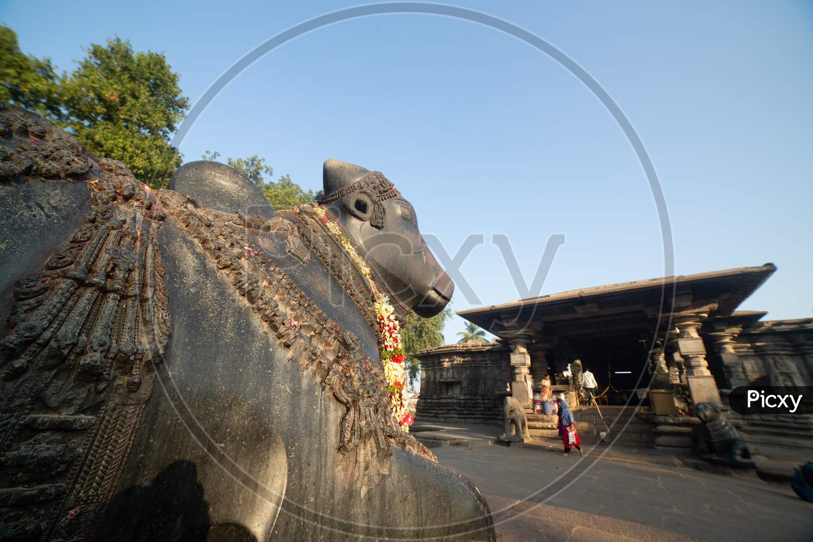 A Sacred Nandi Statue in Thousand Pillar Temple, Warangal