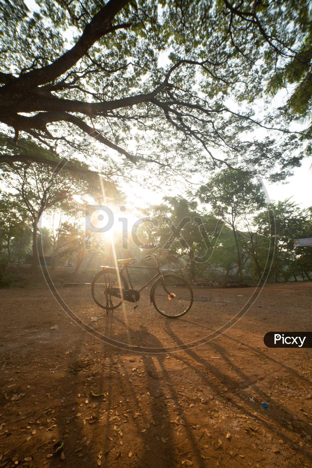 A Bicycle during morning light
