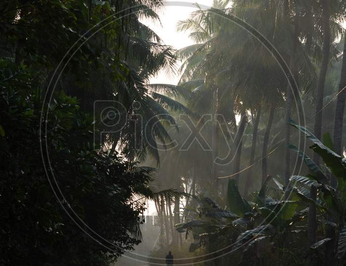 A Foggy road during morning Palakollu