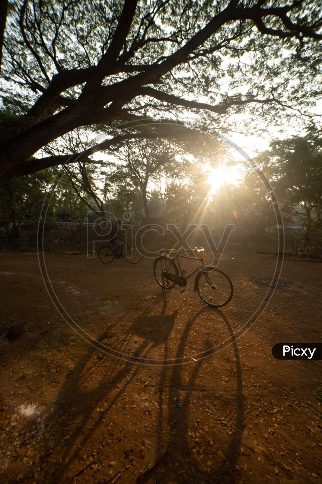 View of a bicycle and shadow