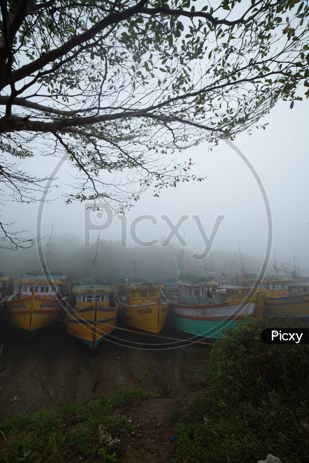 Boats covered in Fog in Palakollu