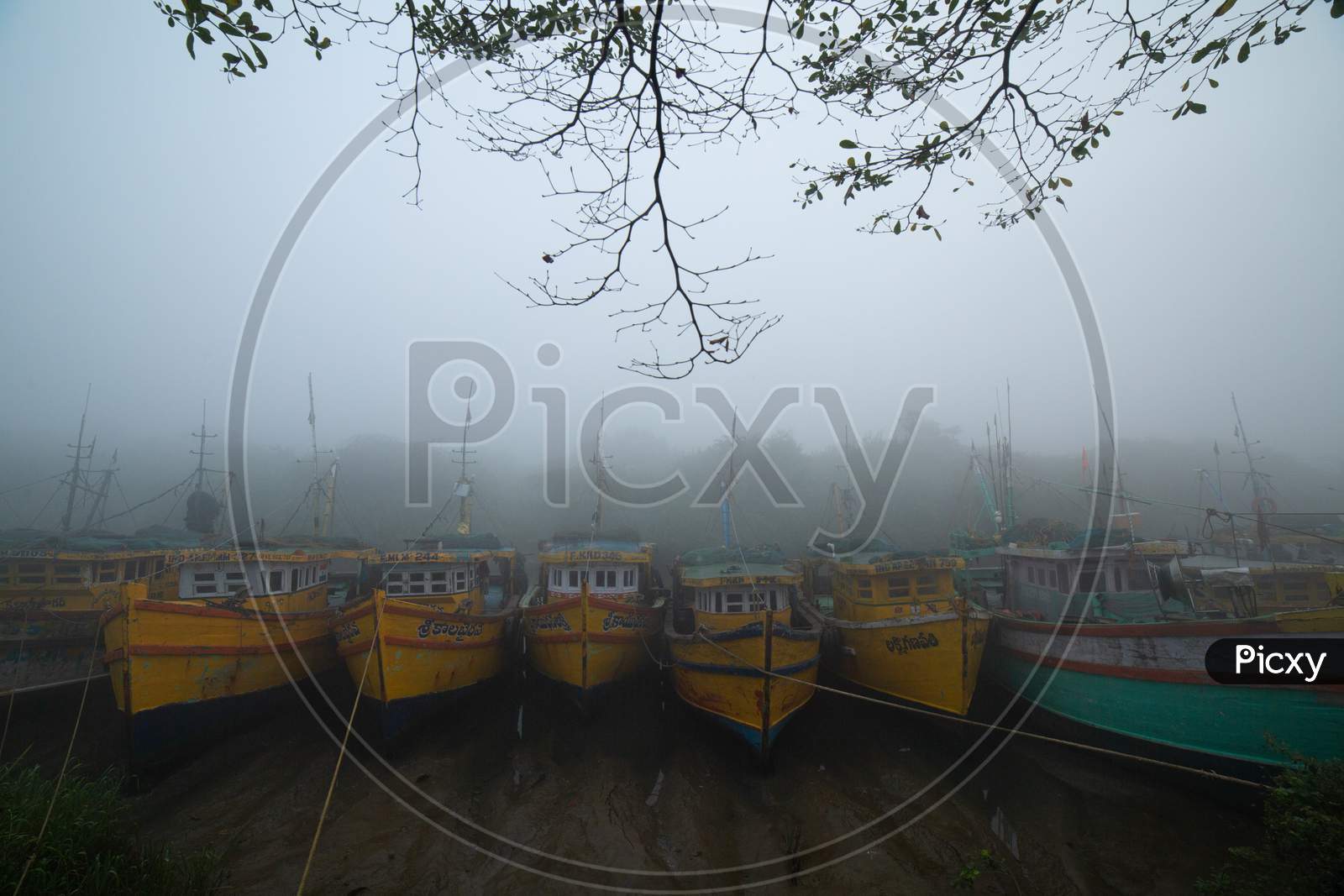 View of boats along the bay during fog
