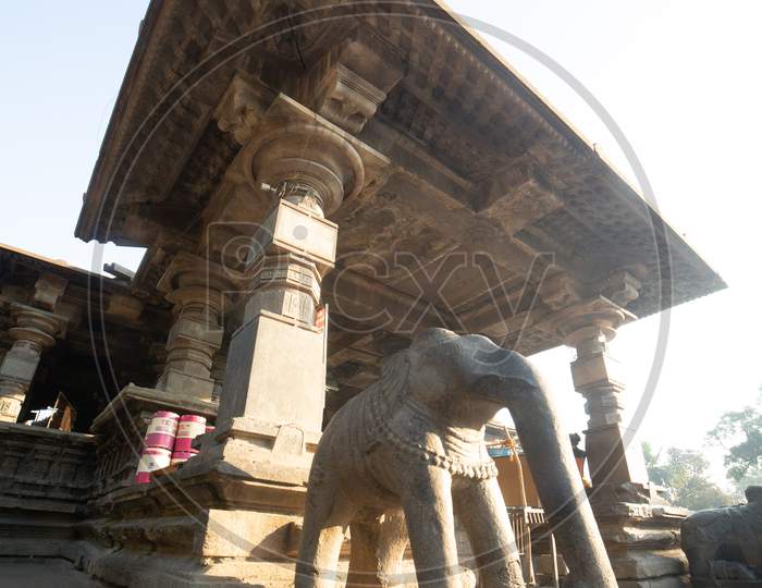 Elephant Statue in Thousand Pillar Temple, Warangal