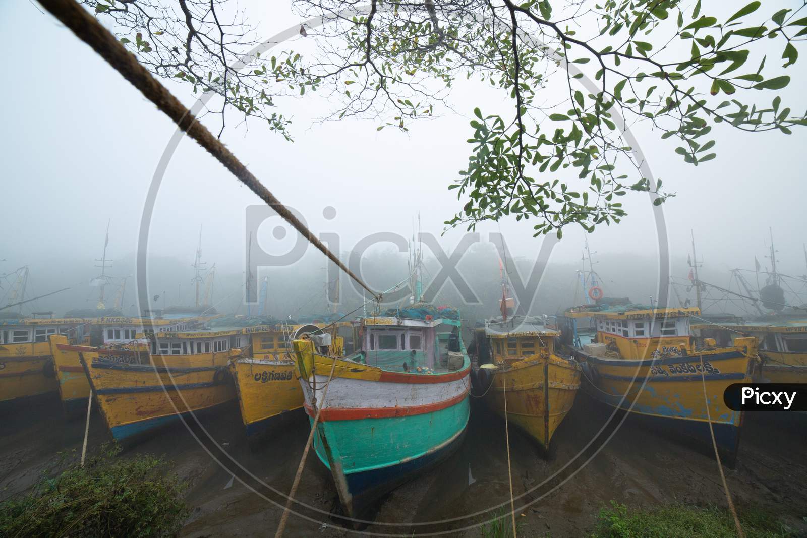 View of boats covered in Fog